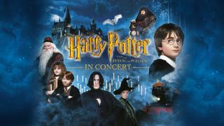 Harry Potter und der Stein der Weisen in Concert Konzert Orchester